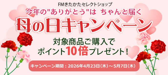 会津磐梯石皿 丸皿 佐藤工房 会津磐梯石・丸石焼プレート200mm溝付